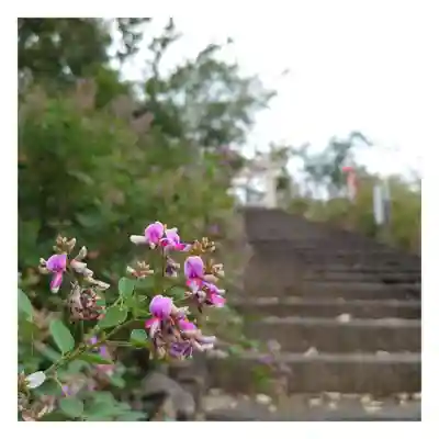 岐阜稲荷山本社(岐阜県)