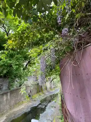 豊康龍神(京都府)