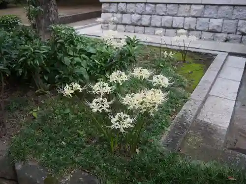 三寳寺の庭園