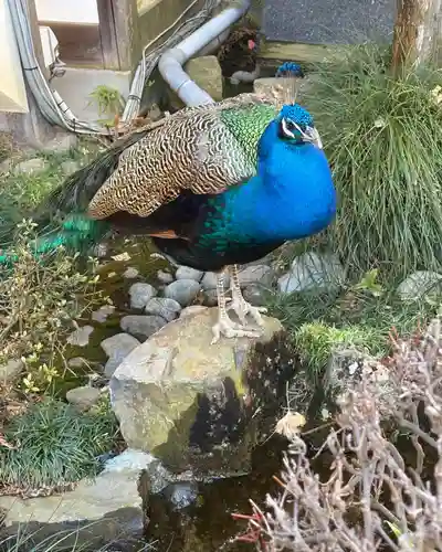 楽法寺（雨引観音）(茨城県)