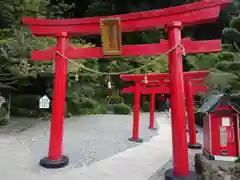 白龍稲荷大神(大分県)