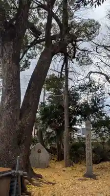 膳所神社(滋賀県)