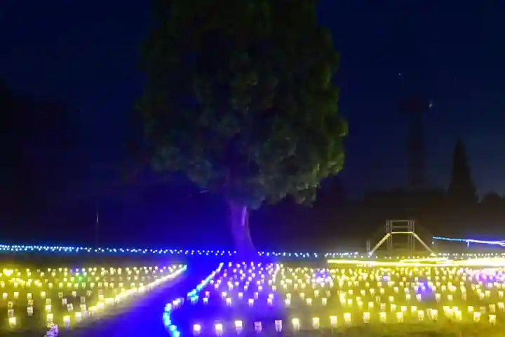 沢山神社(澤山神社)(新潟県)