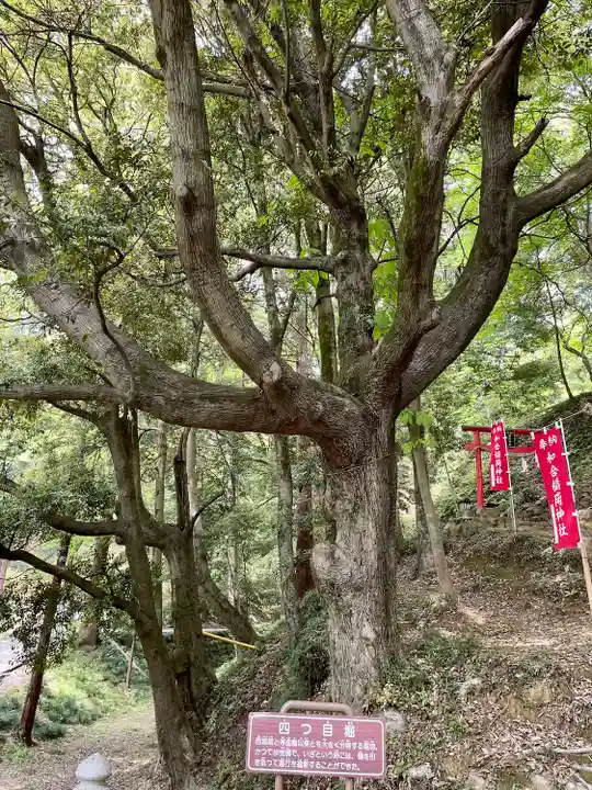 唐澤山神社(栃木県)