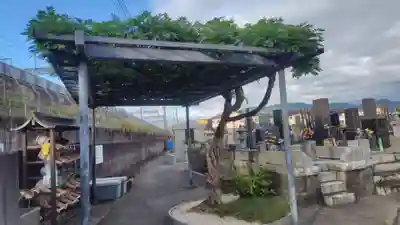 妙立寺(静岡県)