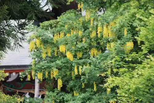 大鏑矢神社の庭園