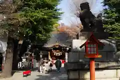 草加神社の狛犬