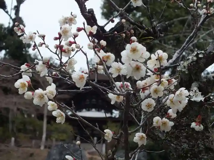石山寺(滋賀県)