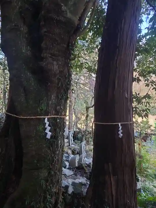 龍の入不動尊(東京都)