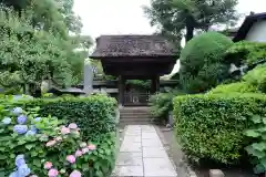 極楽寺（霊鷲山感應院極楽律寺）の山門