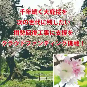 磐椅神社(福島県) 2023年07月22日(土)〜(2023年07月22日(土) 05時40分32秒投稿)