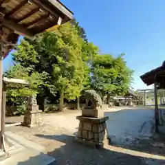 八剱神社の狛犬