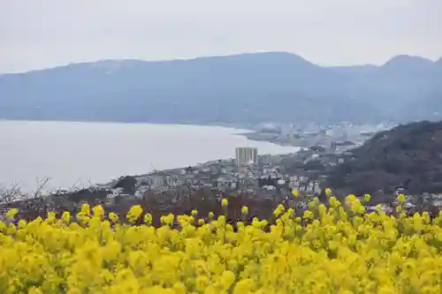 吾妻神社の景色