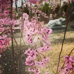 豊景神社の自然