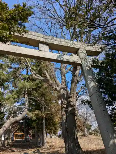 神山稲荷神社の{uncategorized: "未分類", other: "その他", undefined: "問題あり", building: "その他建物", grave: "お墓", sacred_gate: "鳥居", guardian: "狛犬", statue: "像", buddha: "仏像", history: "歴史", nature: "自然", garden: "庭園", animal: "動物", pagoda: "塔", temizu: "手水舎", mountain_gate: "山門・神門", sanctuary: "本殿・本堂", subordinate: "末社・摂社", art: "芸術", scenery: "景色", jizo: "地蔵", ema: "絵馬", goshuin: "御朱印", omikuji: "おみくじ", items: "授与品その他", amulet: "お守り", goshuincho: "御朱印帳", eats: "食事", festival: "お祭り", votive_dance: "神楽", shichigosan: "七五三参", wedding: "結婚式", experience: "体験その他", initially: "初詣", around: "周辺", anti_infection: "感染症対策"}