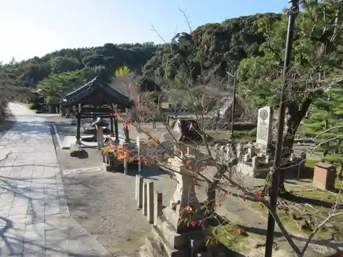 粉河寺の建物その他