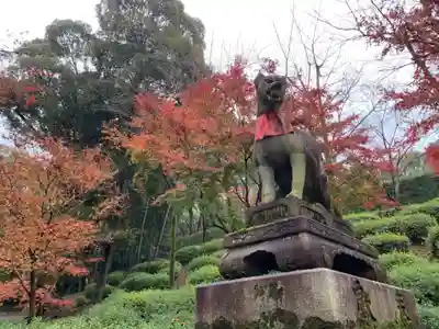 伏見稲荷大社の狛犬