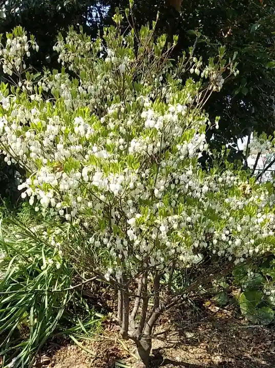 比佐豆知神社(三重県)