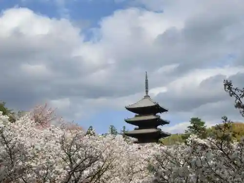 仁和寺の塔