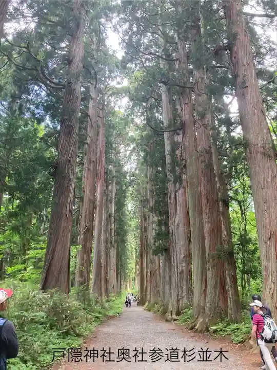 戸隠神社九頭龍社(長野県)