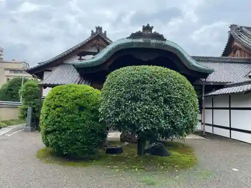 宝鏡寺(京都府)