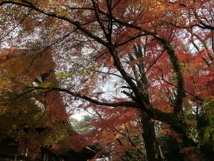 高幡不動尊 金剛寺の自然