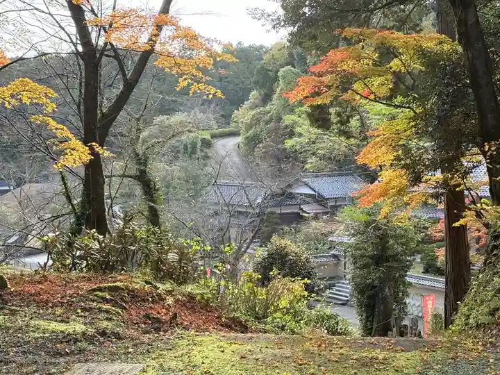 縁城寺(京都府)