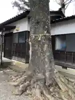 野蛟神社の自然