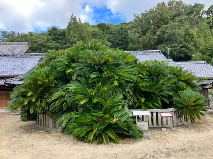 誓願寺(香川県)