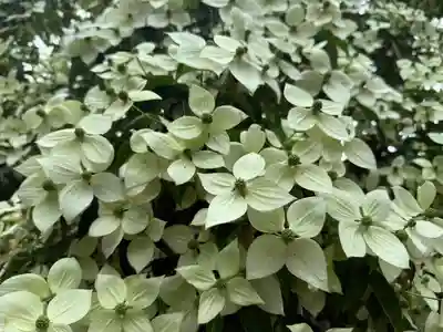 美奈宜神社(福岡県)