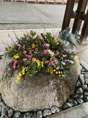 白鷺神社の手水舎