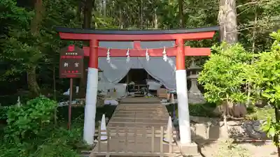 新宮神社(今宮)の鳥居