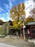 秩父神社の自然