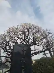 住吉神社の自然