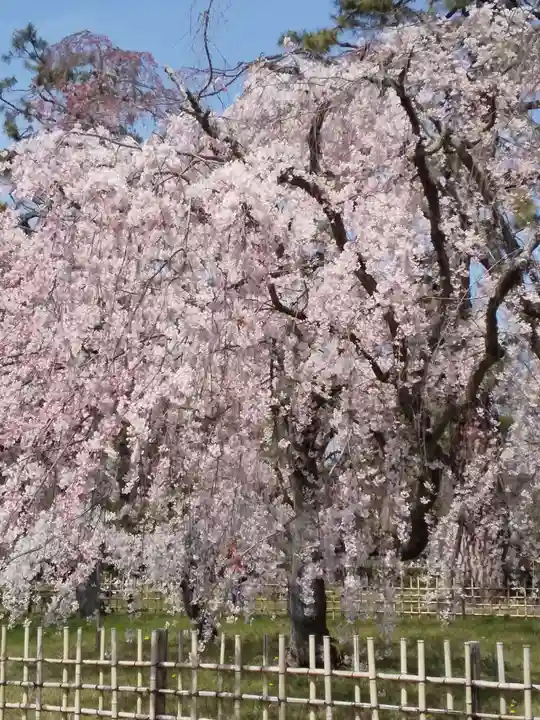 水火天満宮の自然