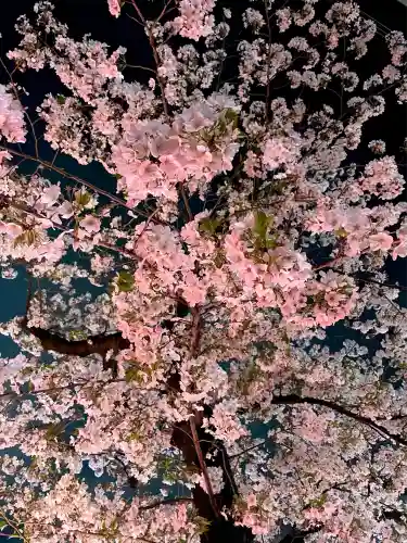 上目黒氷川神社(東京都)