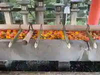 石清水八幡宮(京都府)