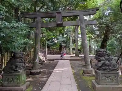 渋谷氷川神社の鳥居