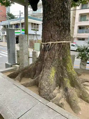 八幡神社の{uncategorized: "未分類", other: "その他", undefined: "問題あり", building: "その他建物", grave: "お墓", sacred_gate: "鳥居", guardian: "狛犬", statue: "像", buddha: "仏像", history: "歴史", nature: "自然", garden: "庭園", animal: "動物", pagoda: "塔", temizu: "手水舎", mountain_gate: "山門・神門", sanctuary: "本殿・本堂", subordinate: "末社・摂社", art: "芸術", scenery: "景色", jizo: "地蔵", ema: "絵馬", goshuin: "御朱印", omikuji: "おみくじ", items: "授与品その他", amulet: "お守り", goshuincho: "御朱印帳", eats: "食事", festival: "お祭り", votive_dance: "神楽", shichigosan: "七五三参", wedding: "結婚式", experience: "体験その他", initially: "初詣", around: "周辺", anti_infection: "感染症対策"}