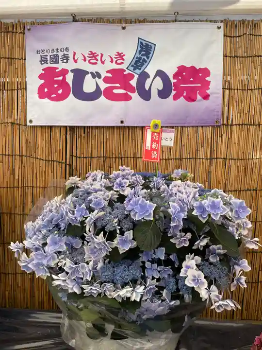 長國寺(東京都)