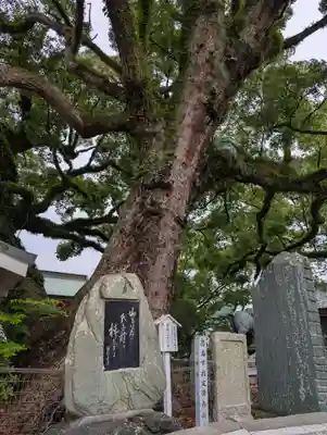 津田八幡神社(徳島県)