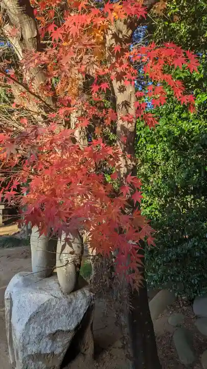 伏木香取神社(茨城県)