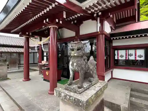 鹿児島神社の狛犬