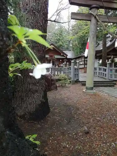 住吉神社の鳥居