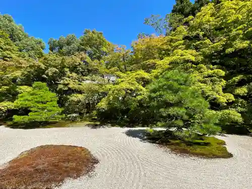 天授庵の庭園