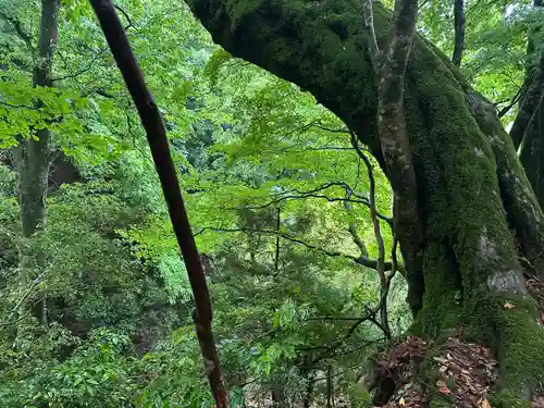 美伊神社(兵庫県)