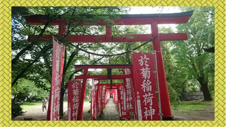 於菊稲荷神社(群馬県)