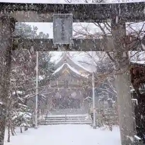 彌彦神社 (伊夜日子神社)の鳥居(2024年12月08日(日) 09時34分47秒投稿)