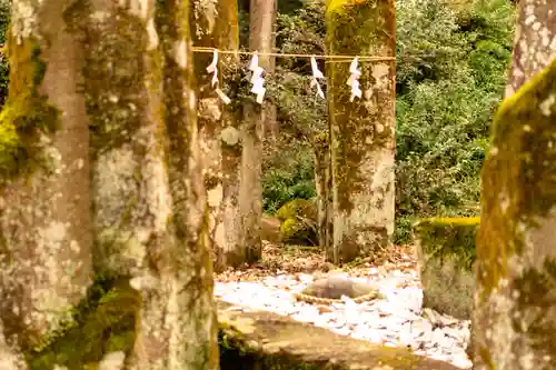 岐阜護國神社(岐阜県)