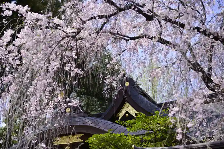 子安神社の自然